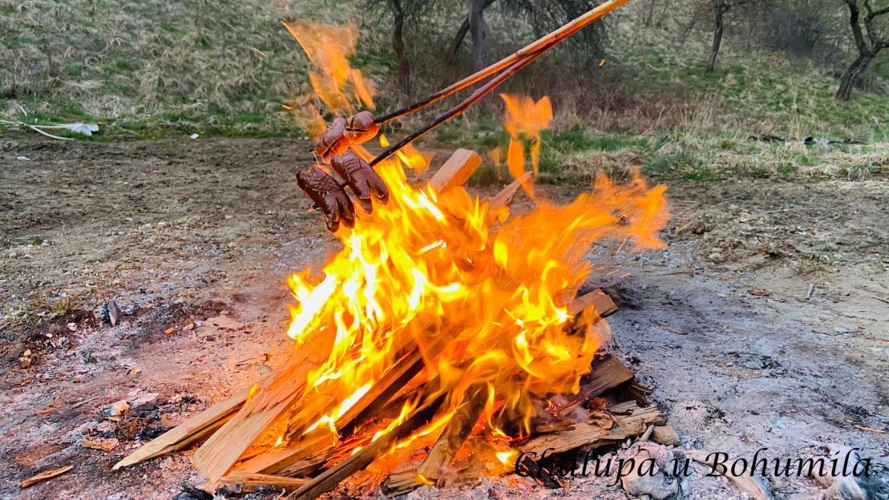 Chalupa U Bohumila Rybna nad Zdobnici المظهر الخارجي الصورة