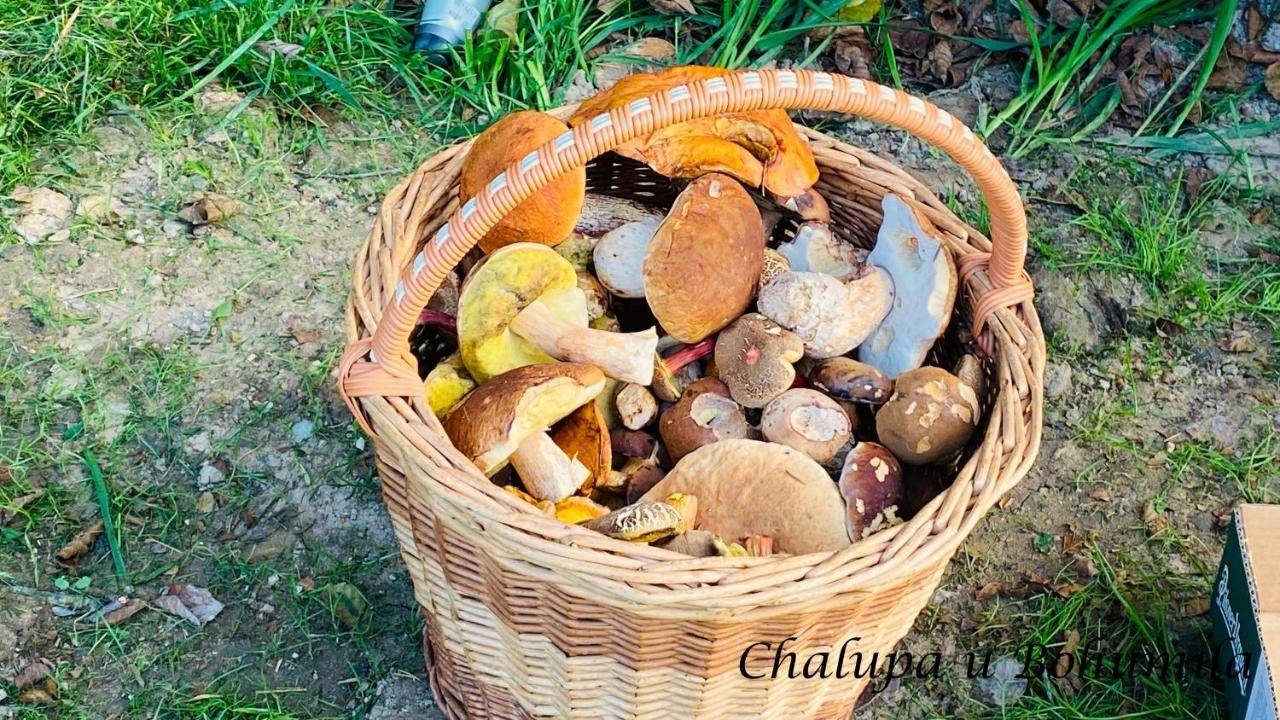 Chalupa U Bohumila Rybna nad Zdobnici المظهر الخارجي الصورة