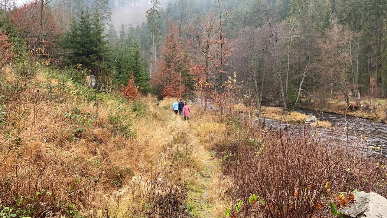Chalupa U Bohumila Rybna nad Zdobnici المظهر الخارجي الصورة