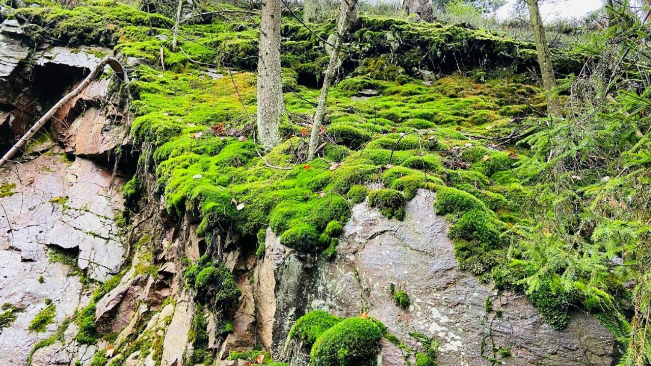 Chalupa U Bohumila Rybna nad Zdobnici المظهر الخارجي الصورة