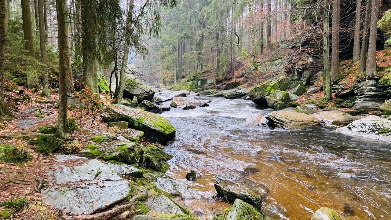 Chalupa U Bohumila Rybna nad Zdobnici المظهر الخارجي الصورة